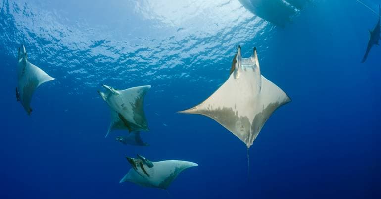 Researchers call for ocean to be a strategic domain