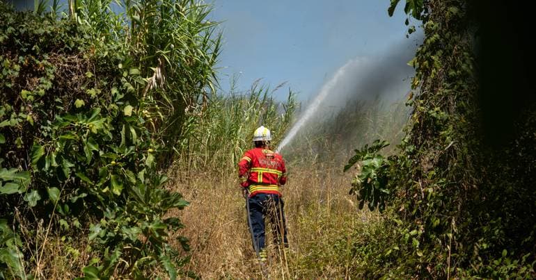 Firefighters battle blaze in Montesinho Natural Park