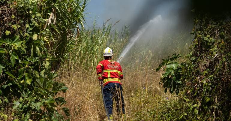 Pre-trial detention for forest fire suspect in Sabugal