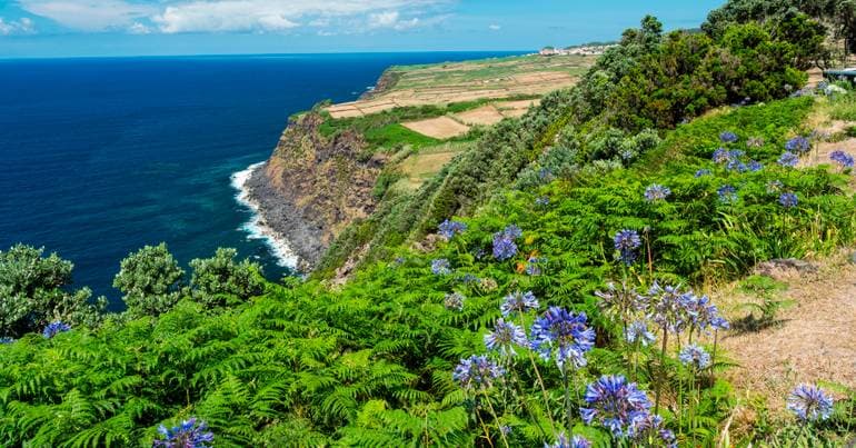 Azores expands promotion of regional products