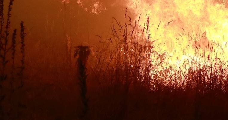 Suspected perpetrator of forest fire in Tarouca arrested