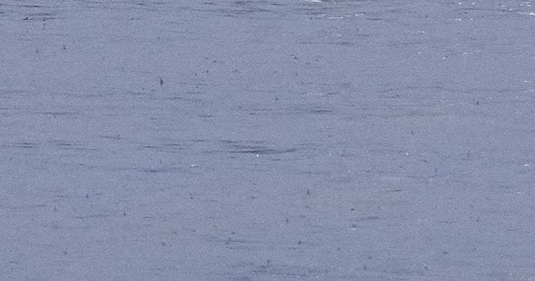 Bad weather. River Minho has already burst its banks in Monção