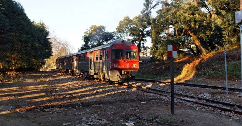 PCP says the Vouga Line cannot wait 15 years