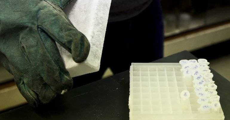 Valongo confirms legionella outbreaks in Sobrado and Ermesinde