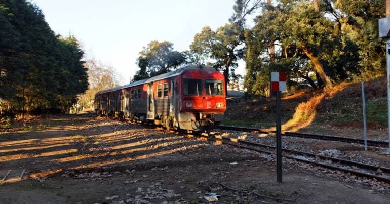 IP closed a level crossing in Espinho