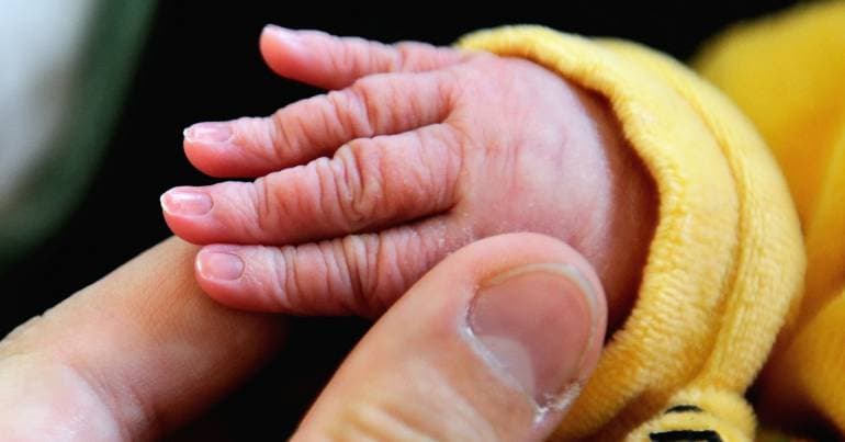 ULS Viseu Dão-Lafões reports increase in births