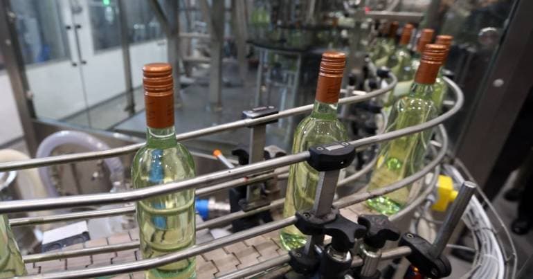 Baixo Alentejo is the 2026 European Wine City