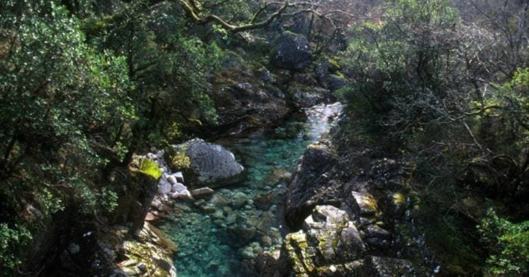 18 projects and three million for protected nature