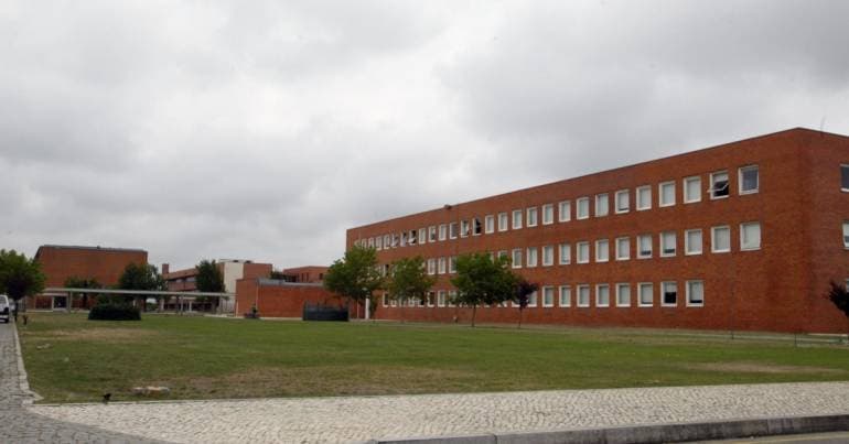 Researchers warn of catalyst contamination