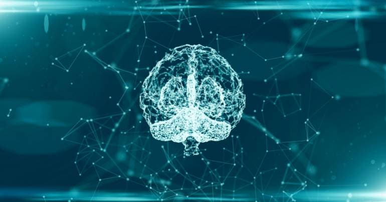 Systematic movement patterns: brain system revealed