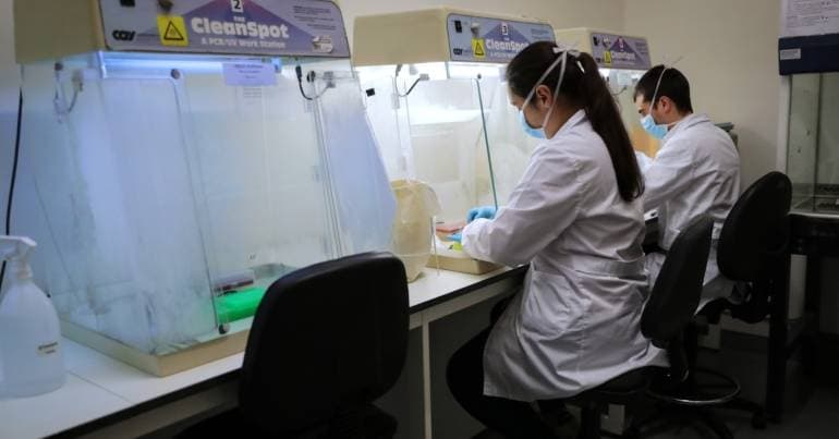 i3S celebrates 10 years with a focus on precision medicine