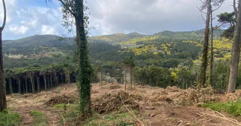 Sintra approves accession to the co-management of the Natural Park