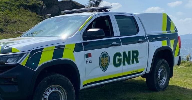 Ten firearms seized in Trofa