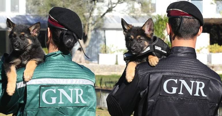 GNR arrests leader of international drug trafficking network