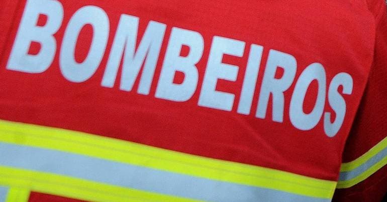 Firefighters have already rescued 1,970 injured or sick animals