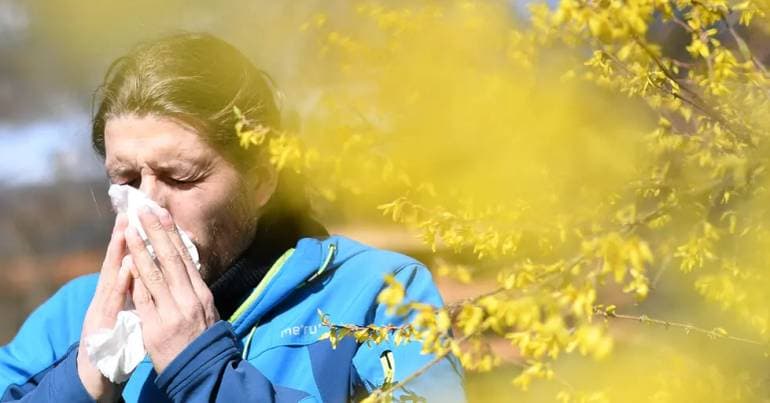 High pollen concentration in the central and southern regions