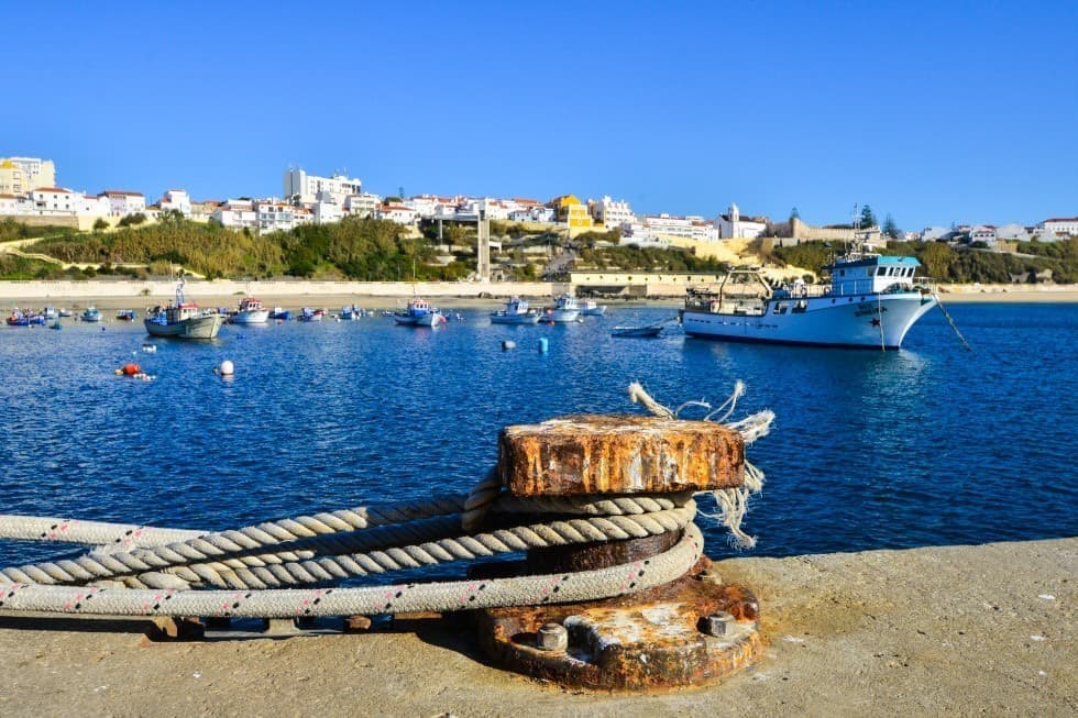 Sardine fishing reopens today in Portugal with a quota of 33.4 thousand tonnes