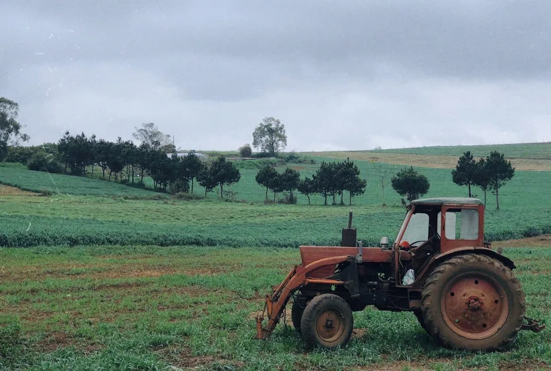 Temperatures to rise in Portugal — find out what will happen in the coming days
