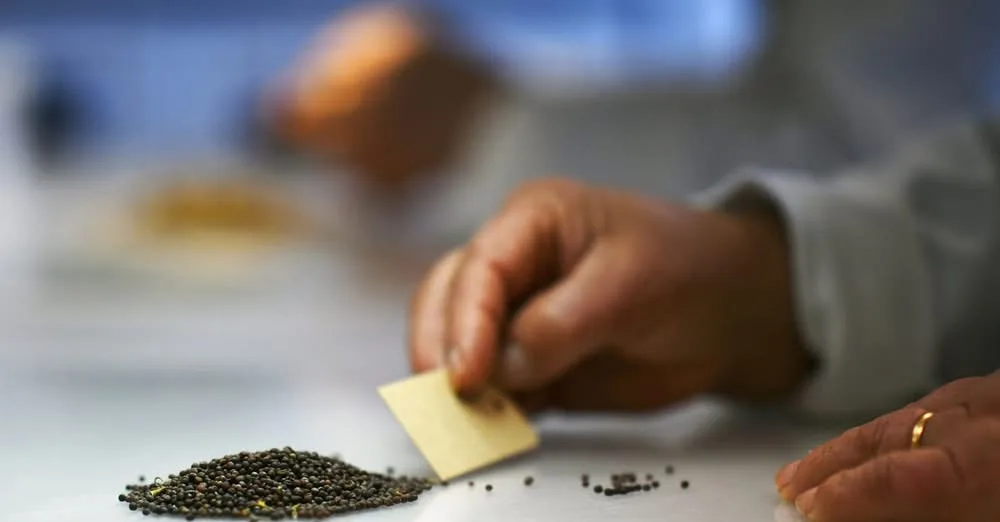 Portugal deposits seeds in Norway's Global Seed Vault, an infrastructure...