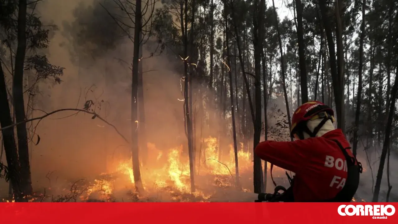 Young man arrested for starting forest fire with brushcutter in Celorico da Beira