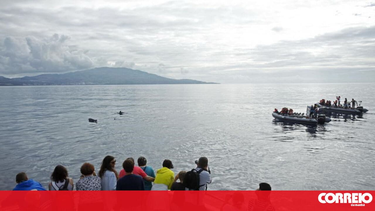 Atlânticoline cancels sailings in the Azores on Friday due to bad weather