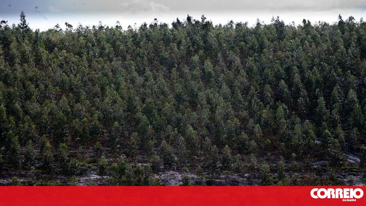 Implementation of landscape management areas is proceeding at different speeds