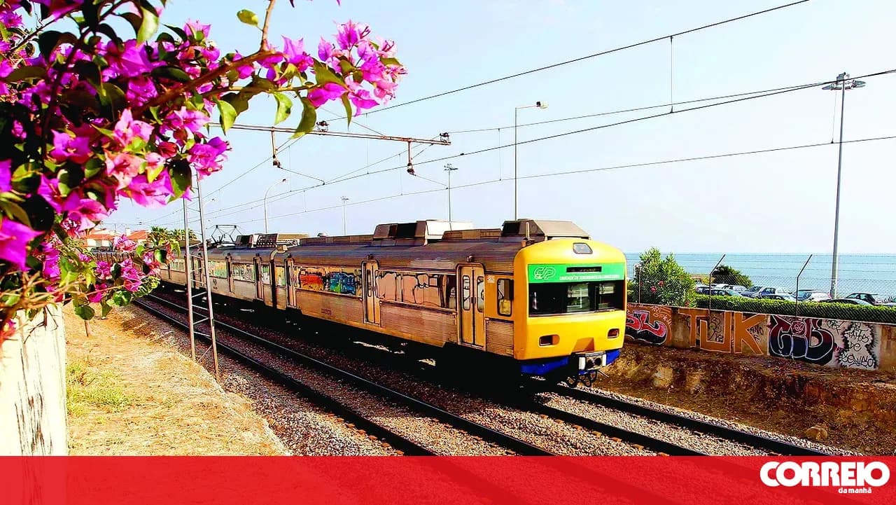Government approves team to launch PPP at CP