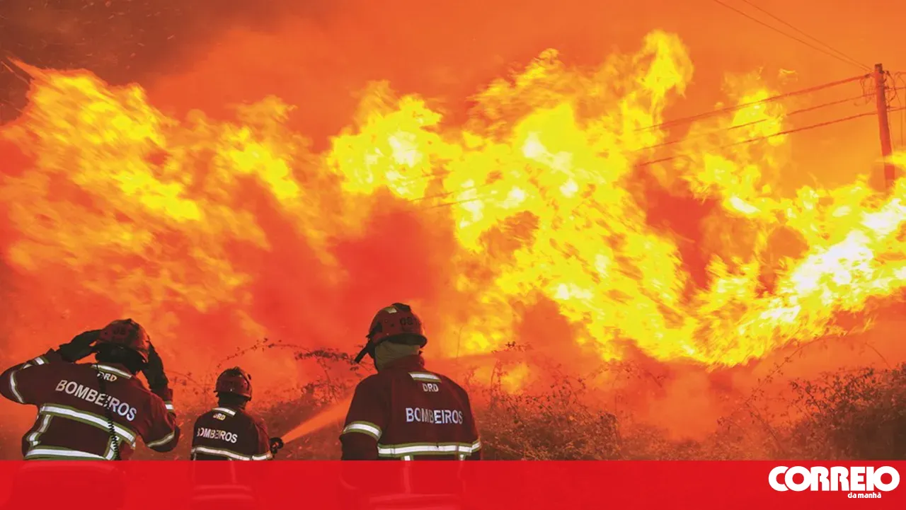 Fire in Fornos de Algodres mobilises over 120 personnel and four aerial assets