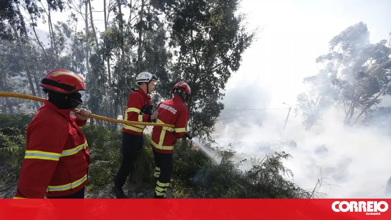 Fire in the municipality of Beja declared under control