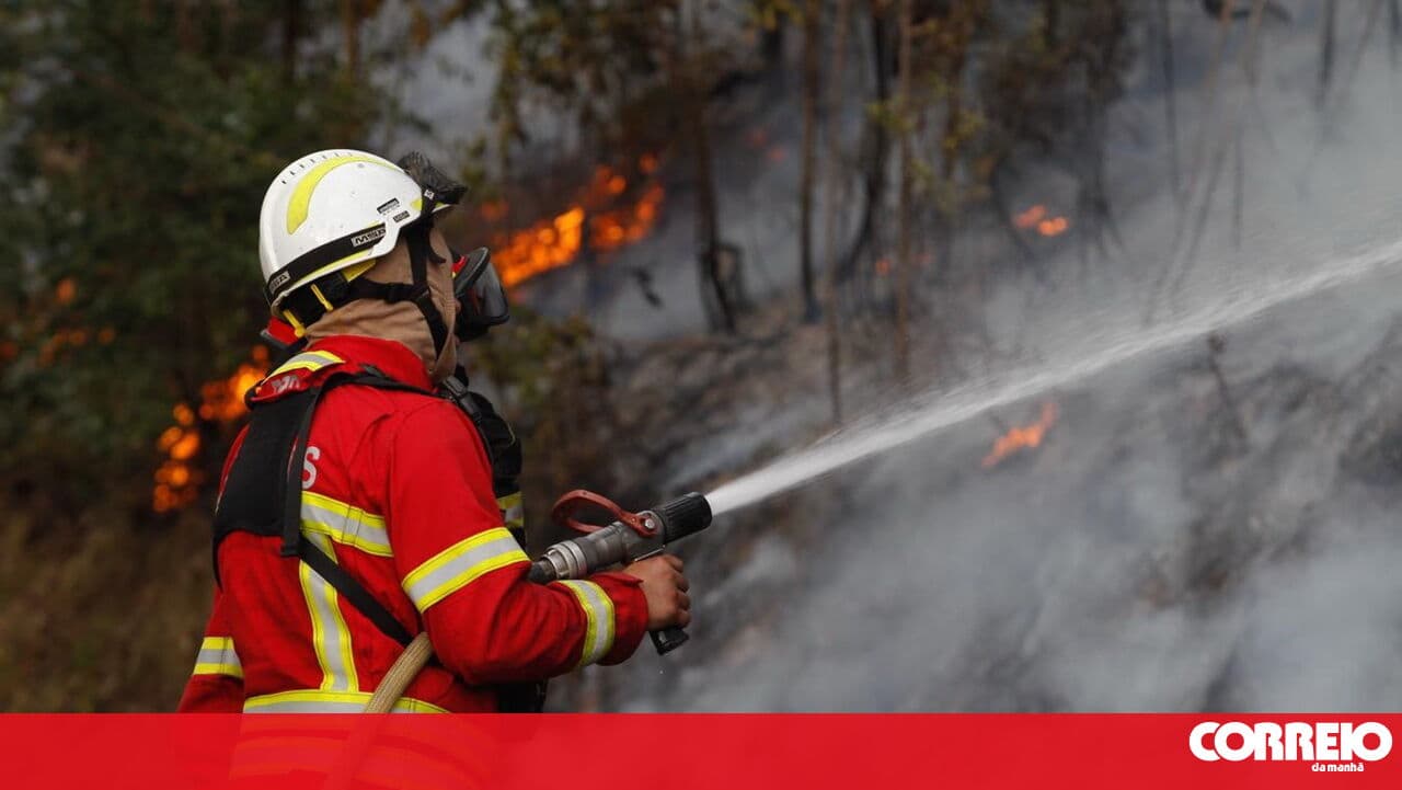 Researchers warn of occupational risks for Portuguese firefighters