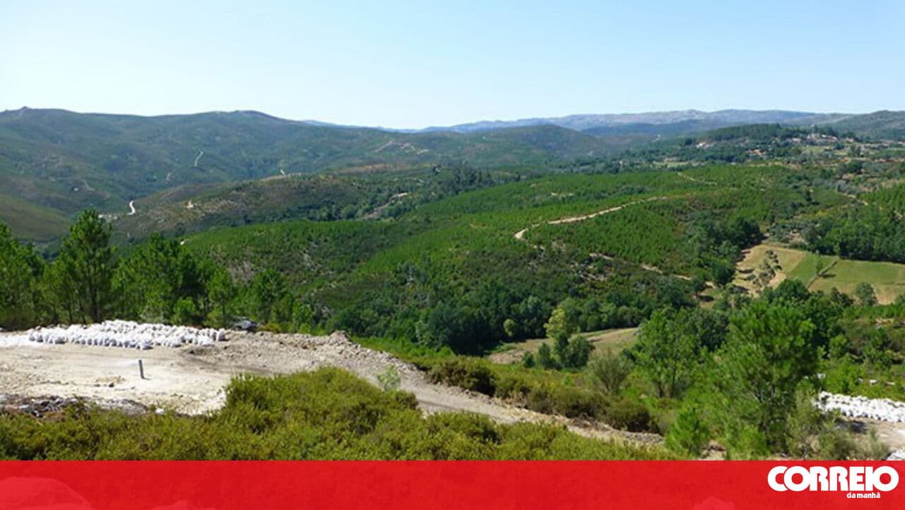 Savannah complies with injunction and suspends lithium works at the Barroso mine