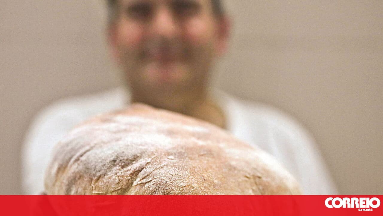 Celeste Group files for insolvency, leaving over 300 workers unemployed