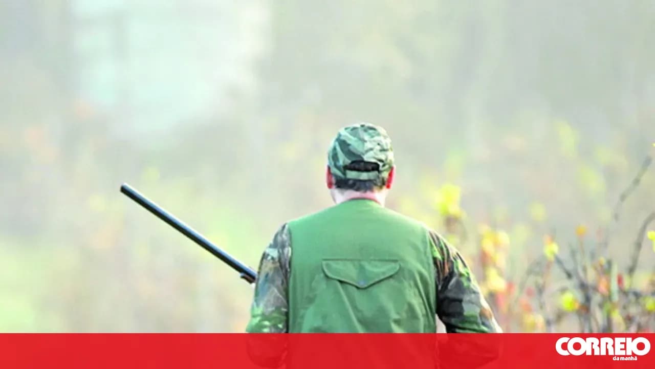 Public Prosecutor's Office archives case regarding the Azambuja hunt where hundreds of animals died