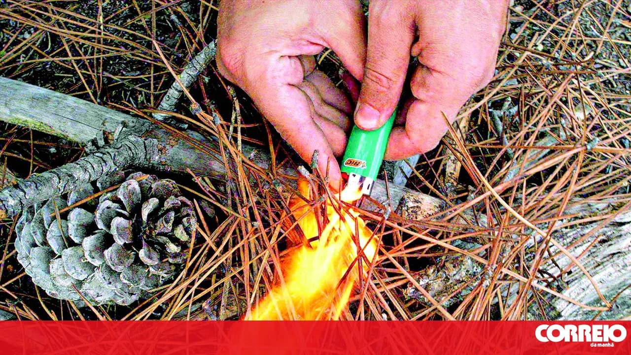 Arsonist caught in the act in Seixal