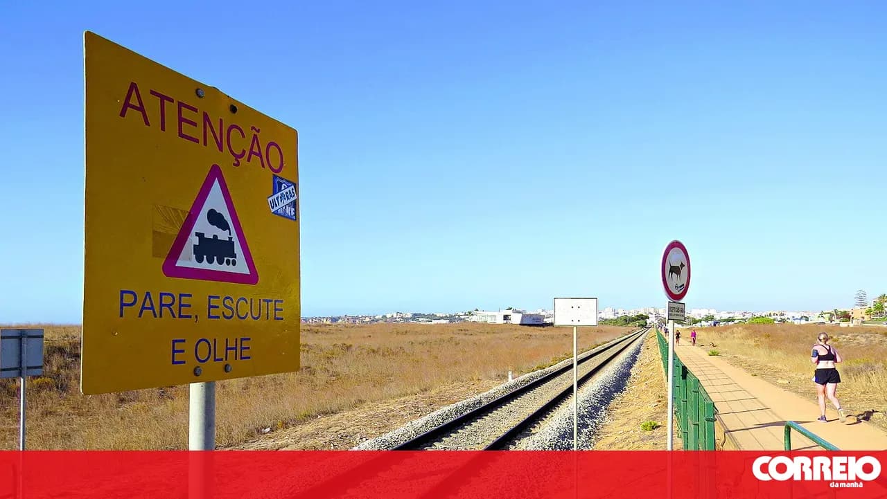 Law and regulation on level crossings published in the Diário da República
