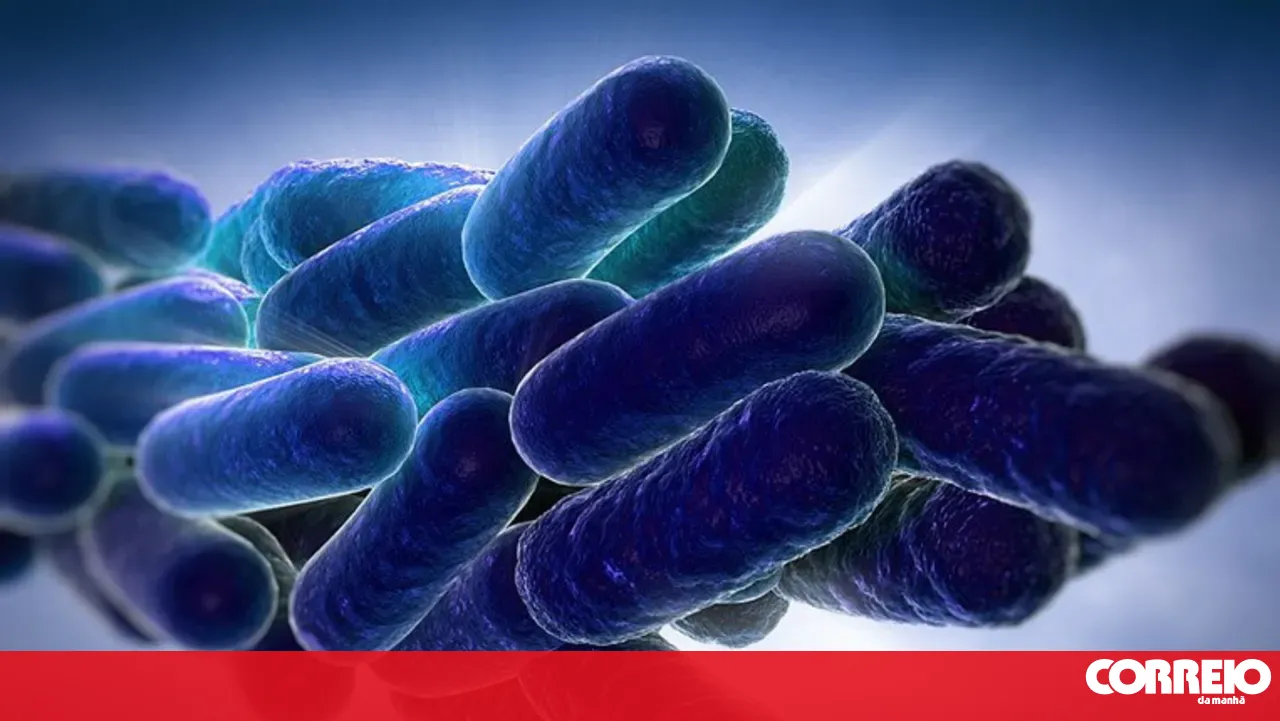 School changing rooms in Valongo may reopen after negative 'legionella' counter-analysis