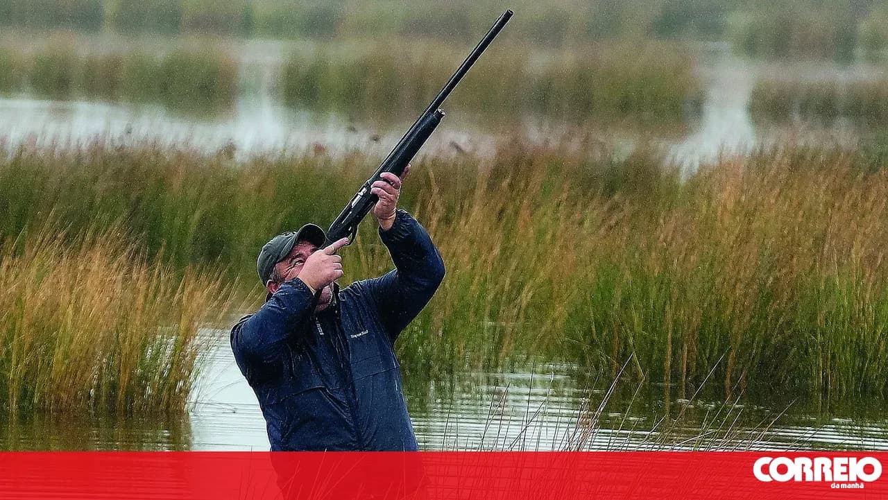 GNR officers injured during hunting inspection in Castelo Branco