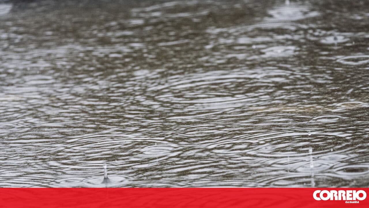 Fallen trees and landslides in Vila Franca de Xira