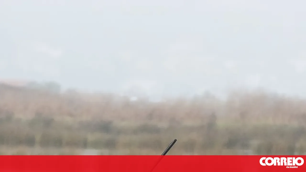 GNR officers injured during hunting inspection in Castelo Branco