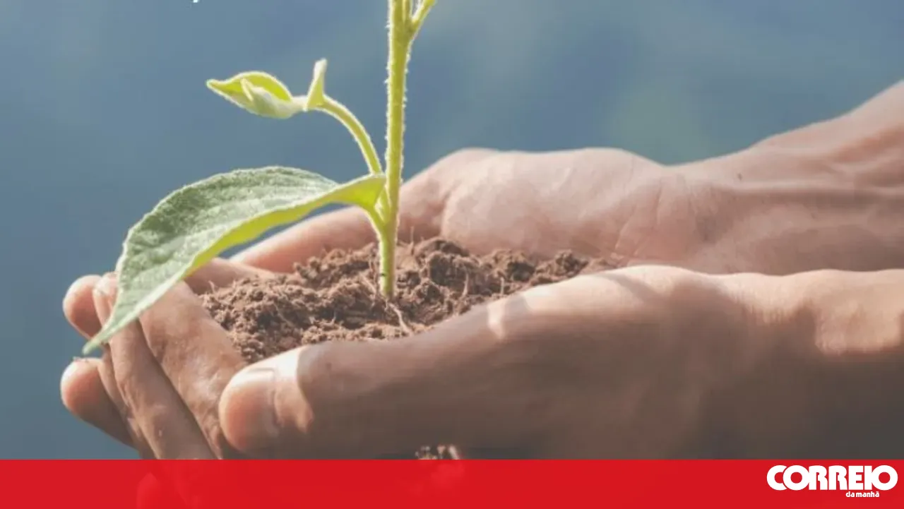 Commission wants to promote the use of manure as fertiliser in the EU instead of chemicals