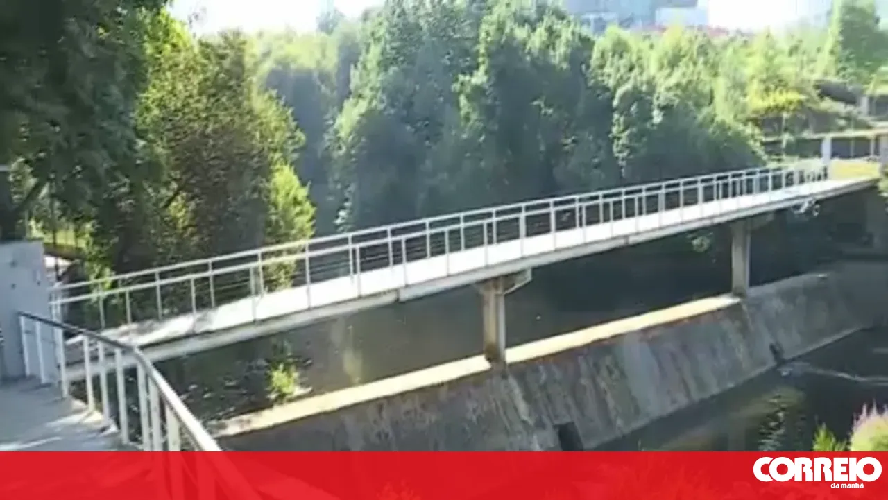 Incident involving dead fish in the Corgo River in Vila Real worsened today