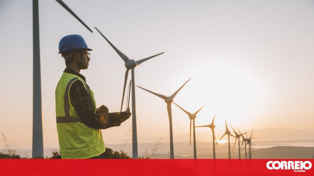 Study reveals that wind energy ensures 25.4% of consumption in 2025 but targets require a swift response