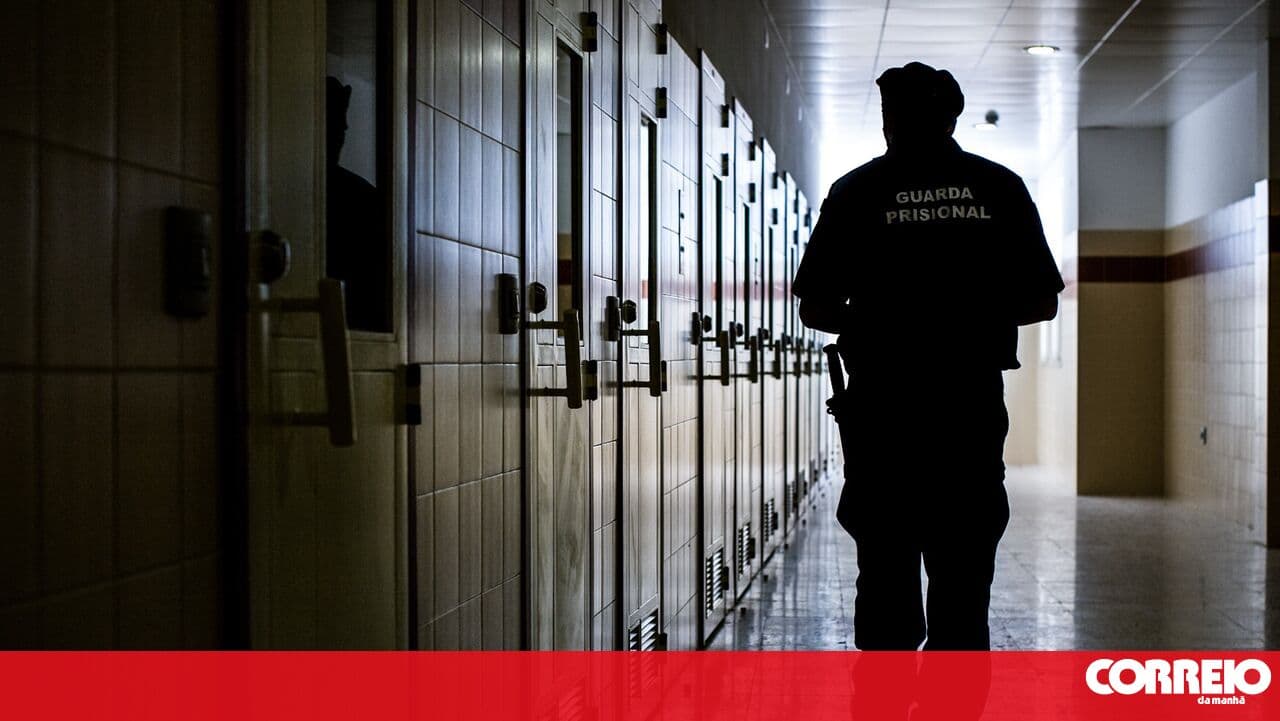 Seven arrested in Alijó and Viseu for drug trafficking