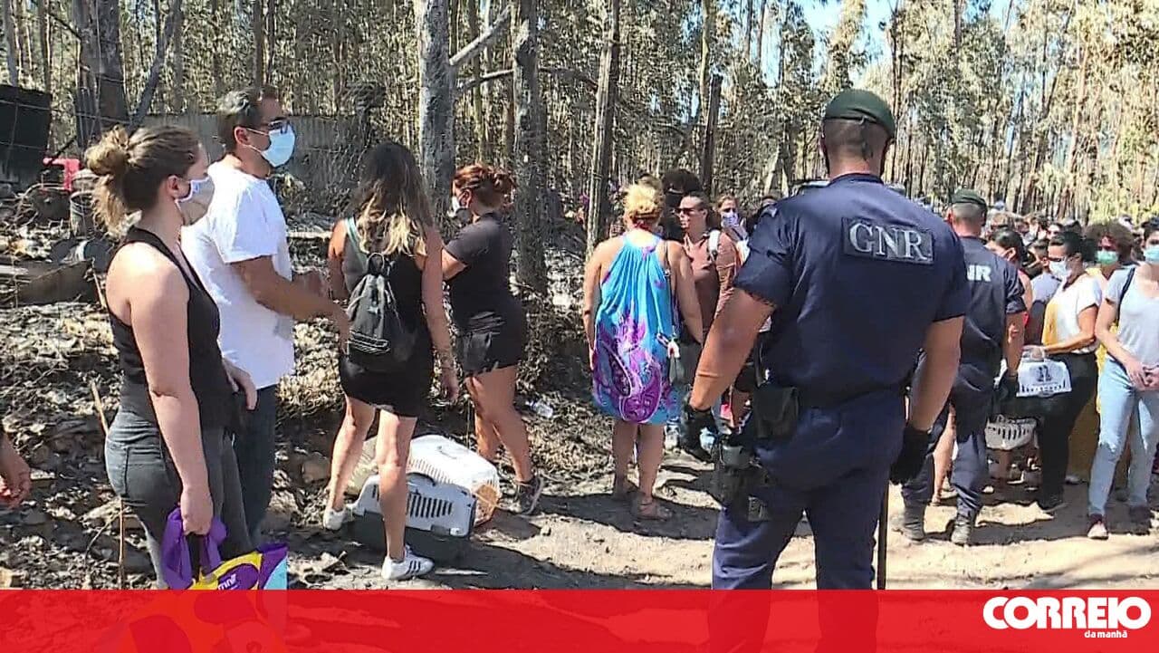Verdict in the Santo Tirso dead animals case scheduled for September