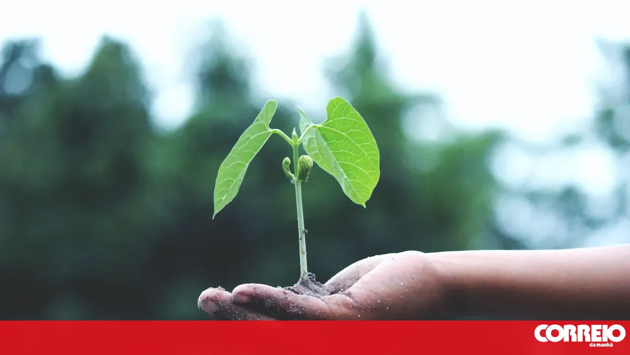 WWF organization launches second phase of the "We Love Solutions" project for building more sustainable cities