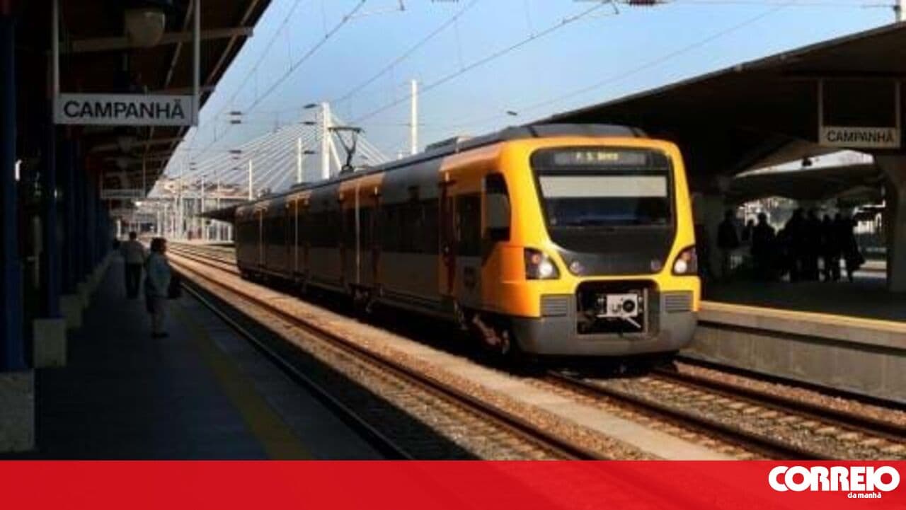 Zero Association opposes TGV road bridge in Porto and excessive parking