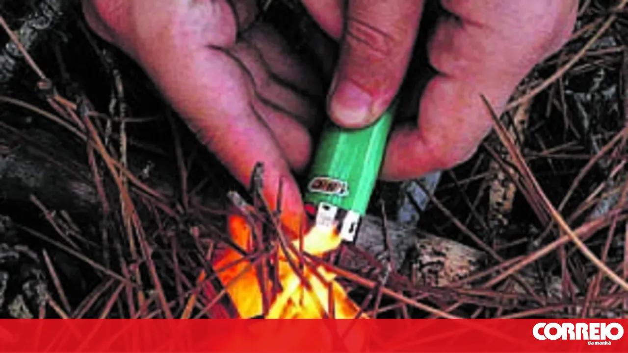 16-year-old boy arrested on suspicion of forest fire crime in Covilhã