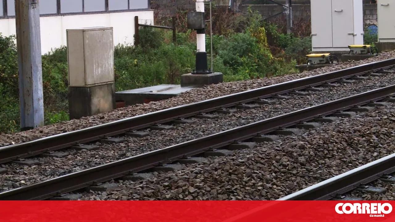 PCP says the Vouga Line cannot wait 15 years and wants works as far as Águeda