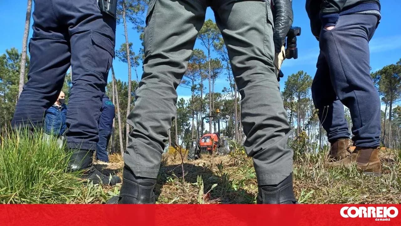 Fewer fines up to August for lack of land clearing