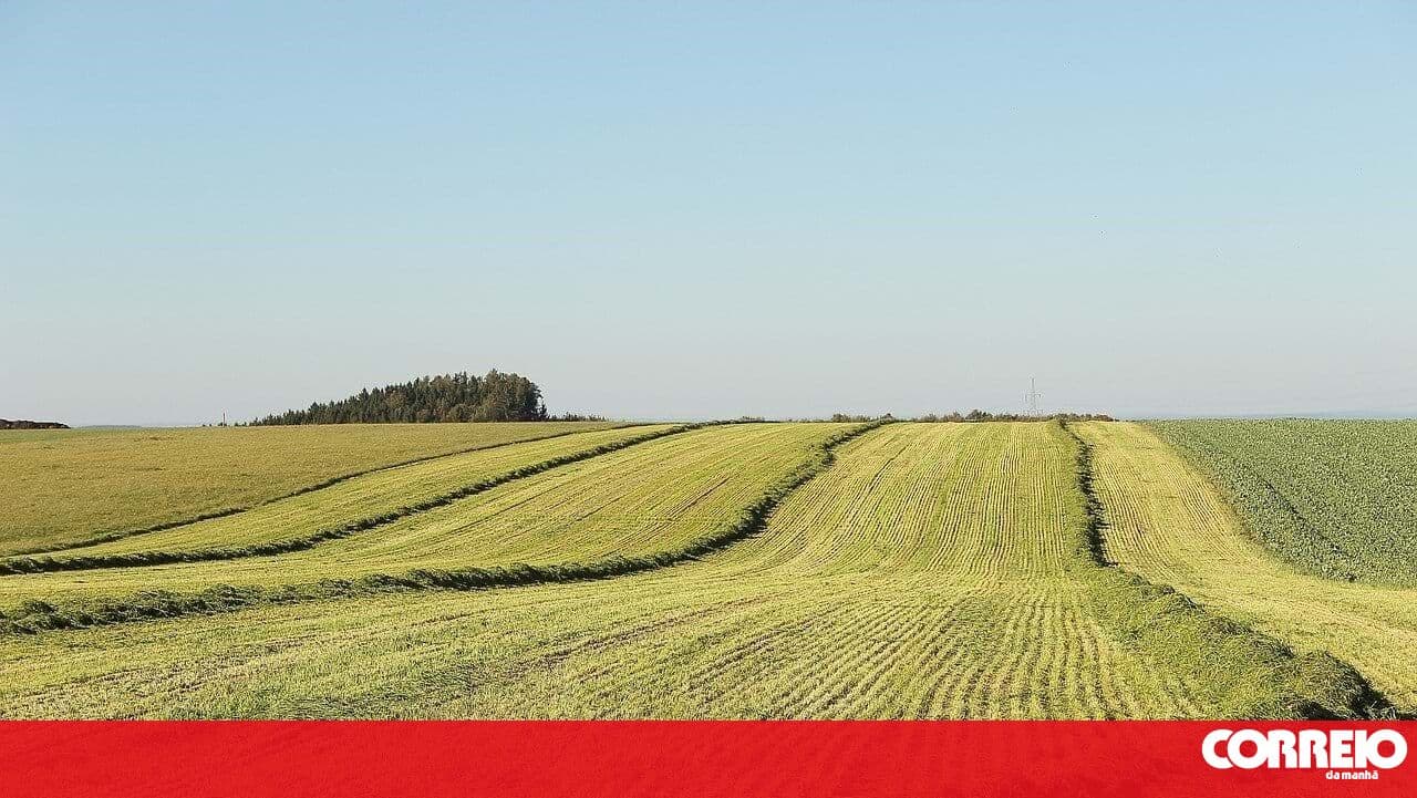 European Parliament prepares measures for fertilizer purchases for farmers affected by price hikes